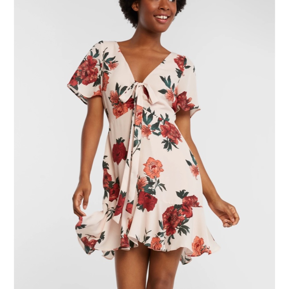 NWT BB Dakota Tie Front Beverly Hills mini dress